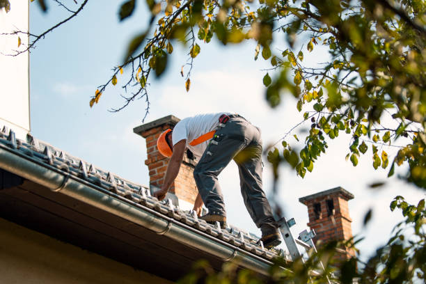 Best New Roof Installation  in Port Gibson, MS