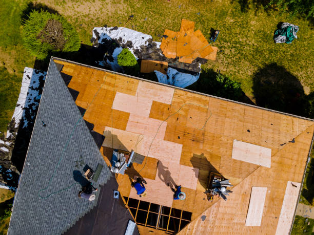 Best New Roof Installation  in Port Gibson, MS